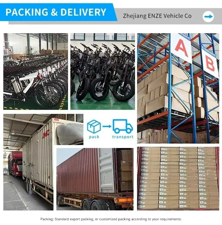 ENZE e-bike export packing