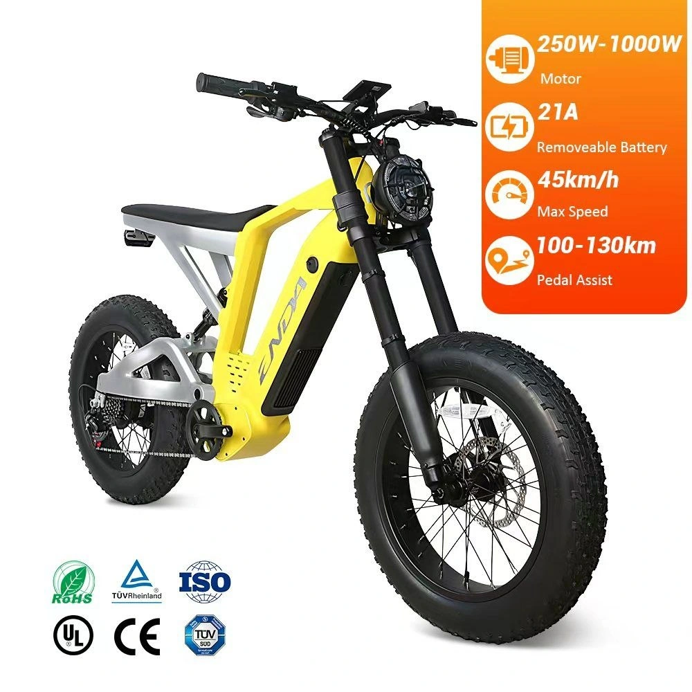 YD-TDM-11 fat-tire electric bike